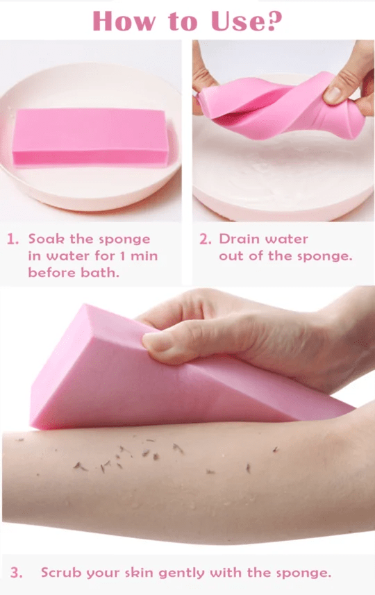 Exfoliating Sponge Scrubber - Eternal flavors